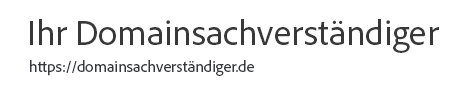 Domain Expert